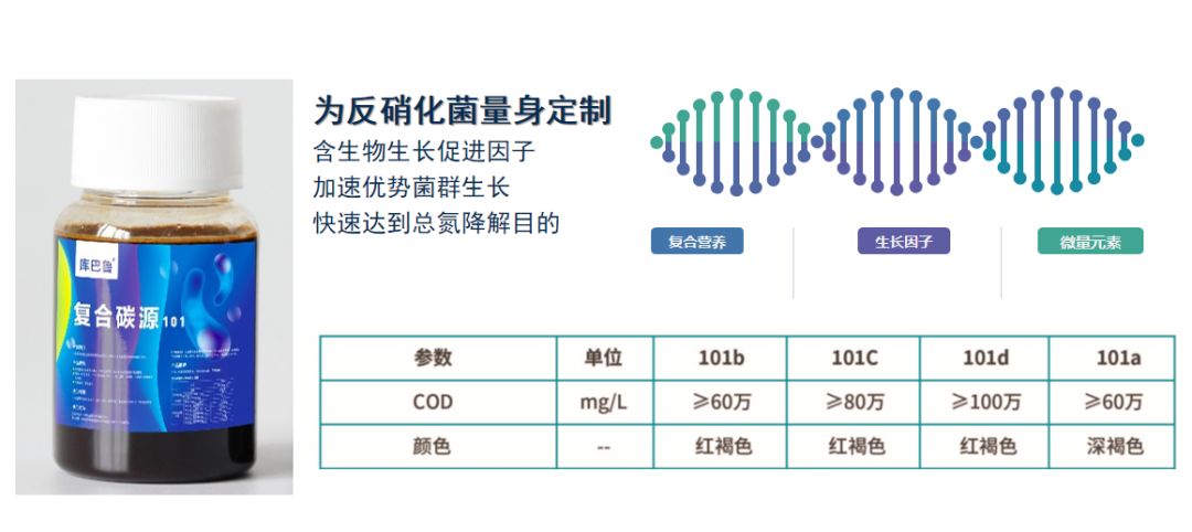 復合面低等人101