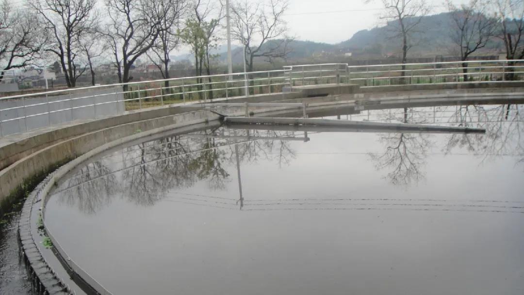 活性污泥處理