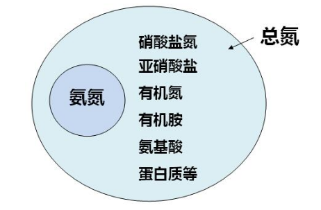 總氮包含哪些氮