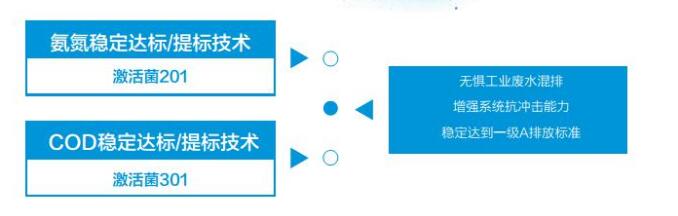 生化提標(biāo)技術(shù)