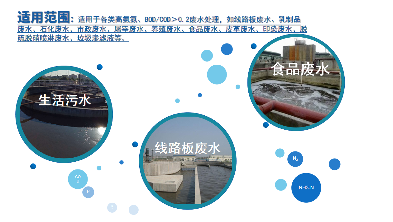 低溫氨氮降解菌