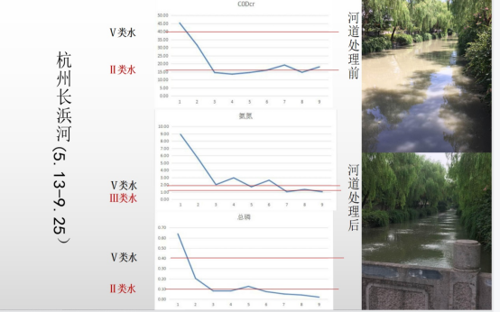 河道治理-杭州長浜河試驗點