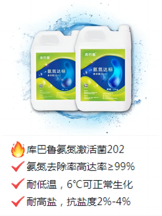 氨氮低溫菌