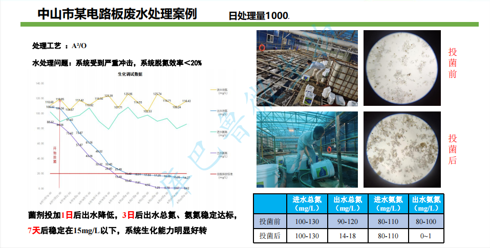 中山市某電路板廢水處理案例-微生物低溫脫氮