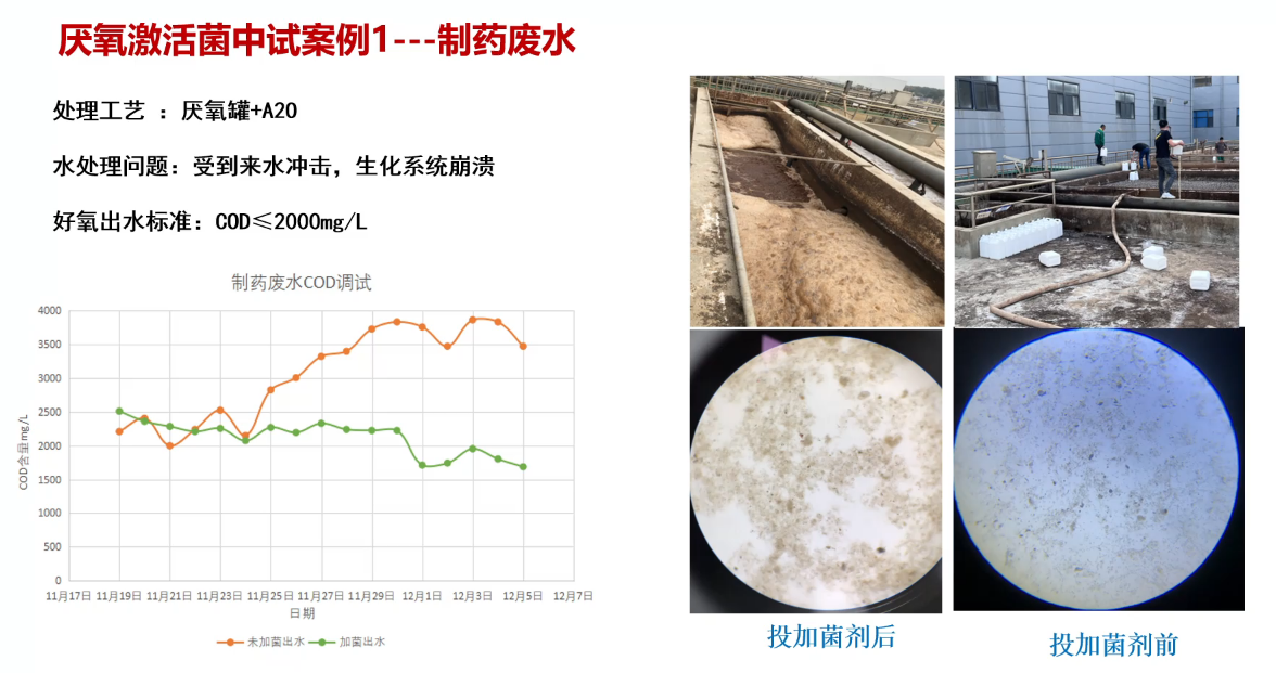 制藥廢水COD降解案例