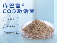 哪些進(jìn)水因素會(huì)影響出水